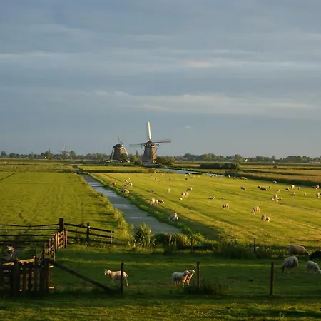 Hoeve Suydeinde Aarlanderveen Exterior photo